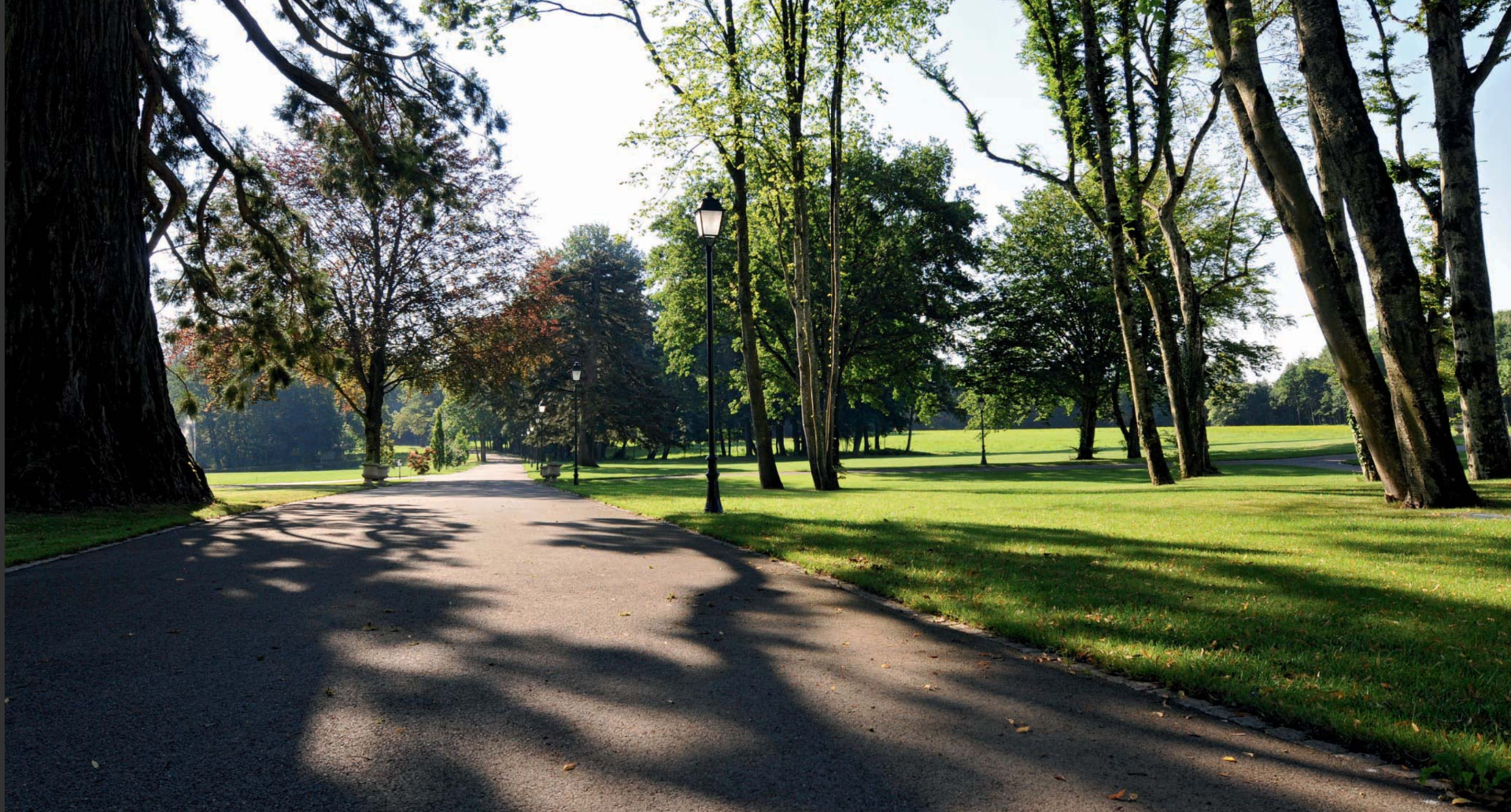 Allée du parc du Château de Crassy